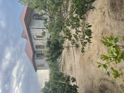Satılır 5 otaqlı 200 m2 bağ evi Albalı