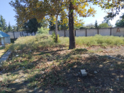 Satılır 20 sot torpaq Yevlax