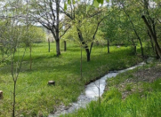 Satılır 12 sot torpaq İsmayıllı