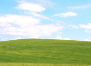 Satılır 345 sot torpaq Şamaxı