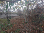 Satılır 6 sot torpaq İsmayıllı