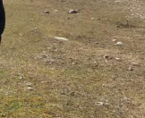 Satılır 8 sot torpaq Qusar