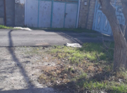 Satılır 30 sot torpaq İmişli