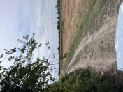 Satılır 100 sot torpaq Qusar