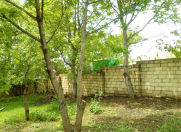 Satılır 10 sot torpaq Şamaxı