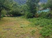 Satılır 82 sot torpaq Qəbələ