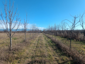 Satılır 150 sot torpaq Zaqatala