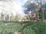 Satılır 2 otaqlı 40 m2 yeni tikili Sahil m.