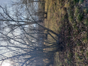 Satılır 1500 sot torpaq Qəbələ