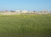 Satılır 48 sot torpaq Buzovna