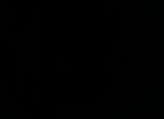 Satılır 2 sot torpaq Naxçıvan