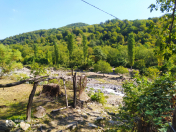 Satılır 8 sot torpaq İsmayıllı