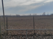 Satılır 50 sot torpaq Qəbələ