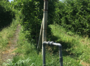 Satılır 2152 sot torpaq Qəbələ