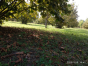 Satılır 80 sot torpaq Qəbələ