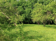 Satılır 63 sot torpaq Qəbələ