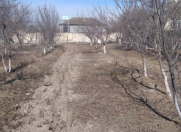 Satılır 14 sot torpaq Mingəçevir