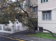 Satılır 2 otaqlı 45 m2 köhnə tikili Sevinc k/t