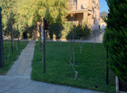 İcarəyə verilir 6 otaqlı 360 m2 bağ evi Mərdəkan