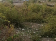 Satılır 12 sot torpaq İsmayıllı