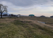 Satılır 6 sot torpaq Zaqatala