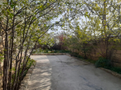 Satılır 3 otaqlı 110 m2 həyət evi Zığ