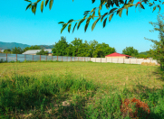 Satılır 12 sot torpaq Qəbələ