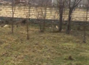 Satılır 0.0465 sot torpaq Qax