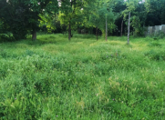 Satılır 51 sot torpaq Qəbələ