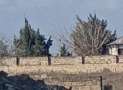 Satılır 24 sot torpaq Türkan