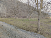 Satılır 20 sot torpaq Qəbələ