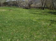 Satılır 10 sot torpaq Şəki