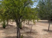 Satılır 24 sot torpaq Mərdəkan