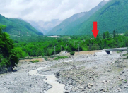 Satılır 200 sot torpaq Qəbələ