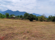 Satılır 100 sot torpaq Qəbələ