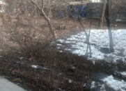 Satılır 4 sot torpaq Şəki