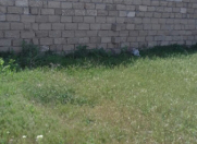 Satılır 3 sot torpaq Savalan
