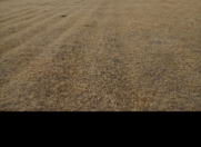 Satılır 3 sot torpaq Ceyranbatan