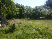 Satılır 9 sot torpaq Qəbələ