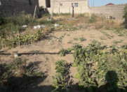 Satılır 5 sot torpaq Binə