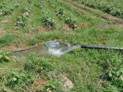 Satılır 200 sot torpaq Maştağa