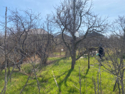 Satılır 7 sot torpaq Sumqayıt