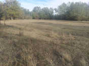 Satılır 5500 sot torpaq Şamaxı