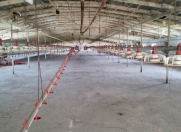 Satılır 2 otaqlı 2400 m2 obyekt Hövsan
