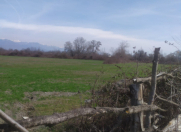 Satılır 116 sot torpaq Oğuz