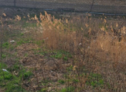 Satılır 6 sot torpaq Sumqayıt