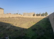 Satılır 5 sot torpaq Türkan