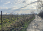 Satılır 108 sot torpaq Xaçmaz