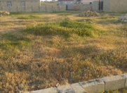 Satılır 3 sot torpaq Müşfiqabad