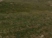 Satılır 3 sot torpaq Saray